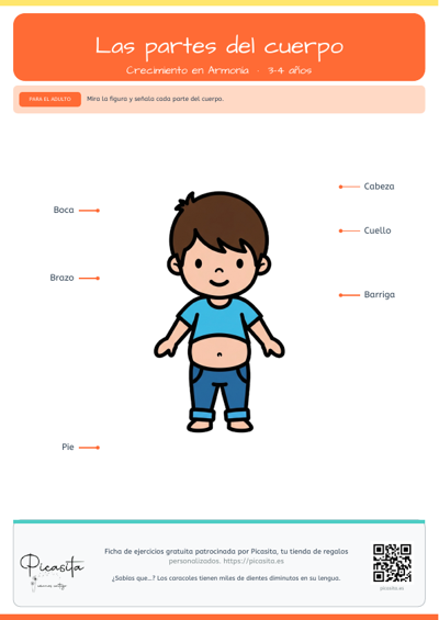 Vista previa: Las partes del cuerpo