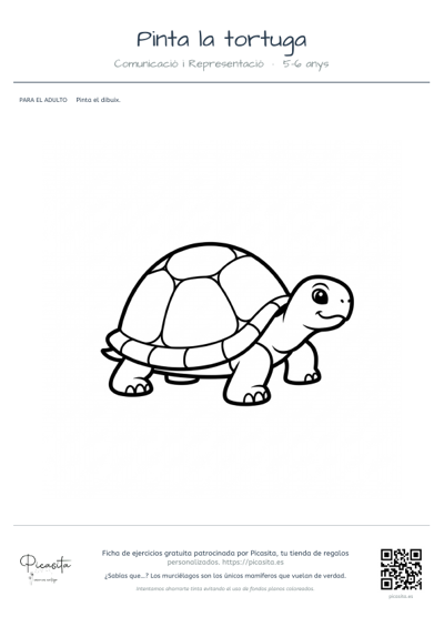 Vista previa: Pinta la tortuga